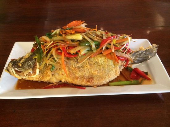 Mangoola NSW Dalby Accommodation