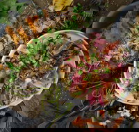 OlleyvilleShaw - Dalby Accommodation