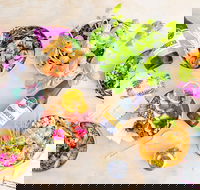 HiPoke Kirra - Dalby Accommodation