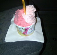 Lic Gelato - Dalby Accommodation