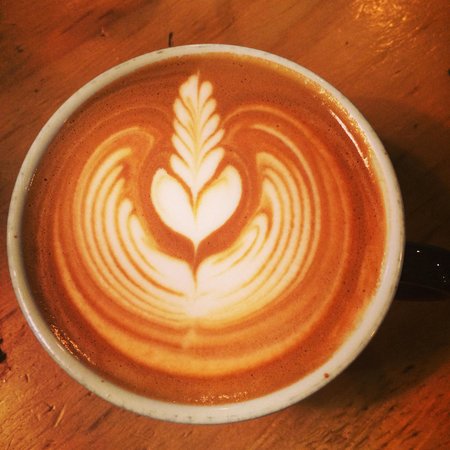 Port Macquarie NSW Dalby Accommodation