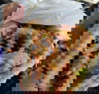 Alektor Charcoal  Grill - Dalby Accommodation