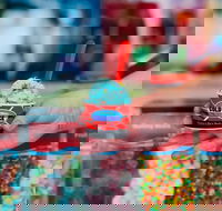 Cold Rock Ice Creamery - Strathpine - Dalby Accommodation