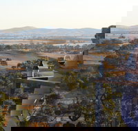 DogRock Winery - Dalby Accommodation