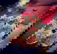 Filosofy - Dalby Accommodation