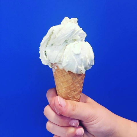 Gelato Papa - Dalby Accommodation 0