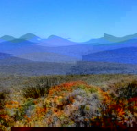 Arcadia Wines - Dalby Accommodation