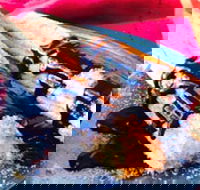 Donut King - Blackburn - Dalby Accommodation