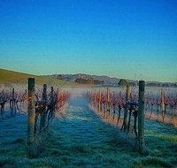 Eastern Peake Winery - Dalby Accommodation