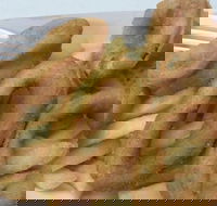 Holmview Central Bakery - Dalby Accommodation