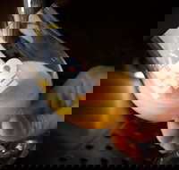 Hope Estate Brewery - Dalby Accommodation