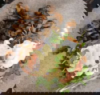 Rogue Valley Roasters - Dalby Accommodation