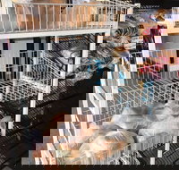 Jamison Bakery - Dalby Accommodation