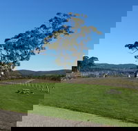 Nepenthe Wines - Dalby Accommodation