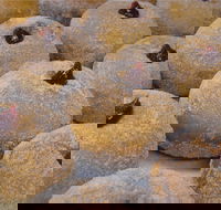 Miami Bakehouse Mandurah - Dalby Accommodation