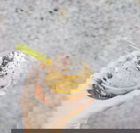 Spice Cottage - Dalby Accommodation