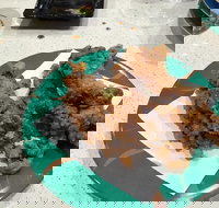 Sushi Bay - Penrith - Dalby Accommodation