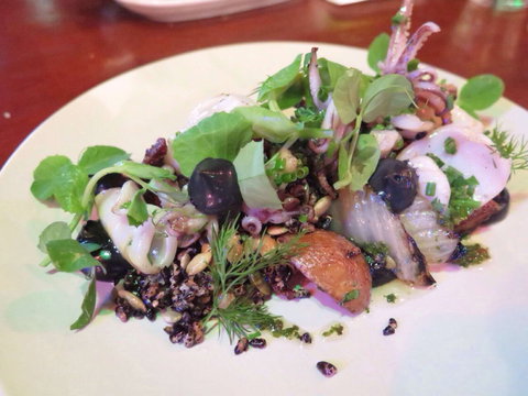 YaYa Bar And Eatery - Dalby Accommodation 0