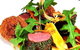 Salsa Bar & Grill - thumb 8