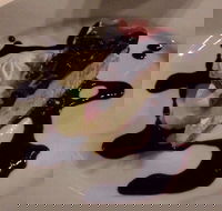 Summerhill Hotel - Dalby Accommodation