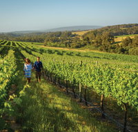 Wills Domain - Dalby Accommodation