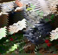 Hill of Promise Winery and Cellar Door - Dalby Accommodation