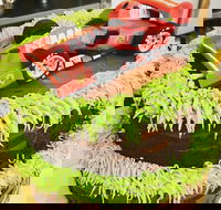 Runaway Cupcakes - Dalby Accommodation