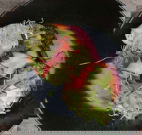 Crowded House - Dalby Accommodation