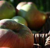 Denmark Heritage Cider Company - Dalby Accommodation