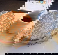 Steel Tree  Settlers - Dalby Accommodation