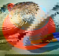 Routleys Bakery - Dalby Accommodation