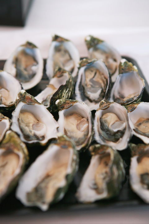 S.D. Caputo And Sons - Dalby Accommodation 0