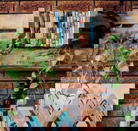 Wilderness Bar - Dalby Accommodation