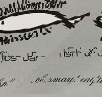 Williamstown Mussels - Dalby Accommodation