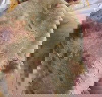 Zaika Tandoor - Dalby Accommodation