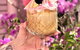 El' Rosa - thumb 0