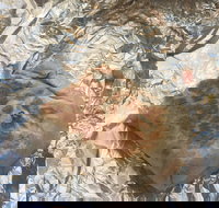 Mad Mex Fresh Mexican Grill - Dalby Accommodation