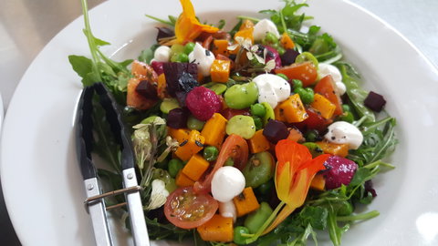 Hickinbotham Of Dromana - Dalby Accommodation 2