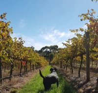 Ruddenklau Wines - Dalby Accommodation