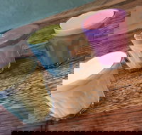 Charlie and Leo's - Dalby Accommodation