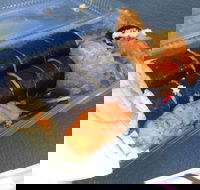 Mr Sushi - Dalby Accommodation