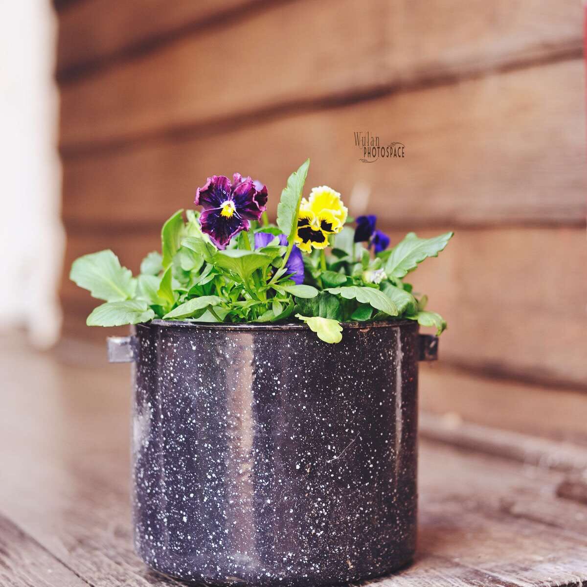 Mount Hardey WA Dalby Accommodation