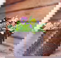 The York Mill - Dalby Accommodation