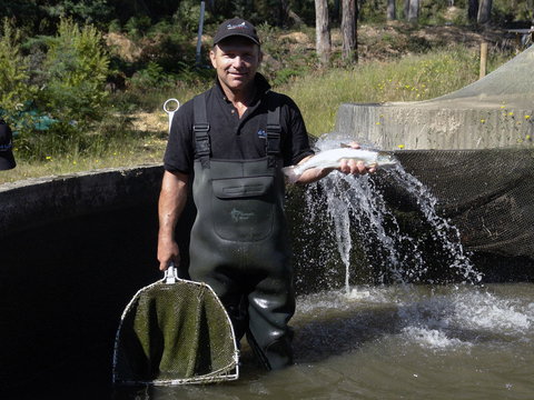41 Degrees South Tasmania - Dalby Accommodation 0