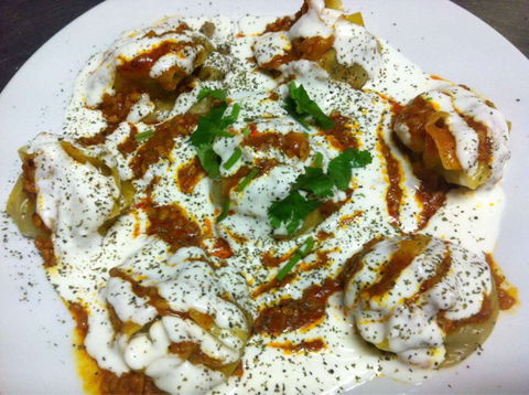 Afghan Delicious Kebab House - Dalby Accommodation 0