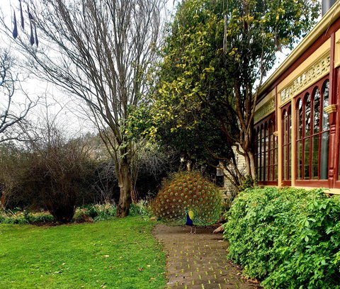 Glen Derwent Tea Rooms - Dalby Accommodation 0