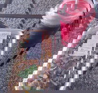 Little Shop of Plenty - Dalby Accommodation