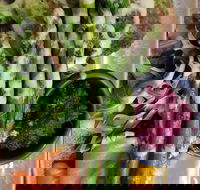 Stone cold - Dalby Accommodation