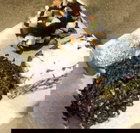 Frollicking Frog - Dalby Accommodation