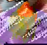 Oishi Ya - Dalby Accommodation